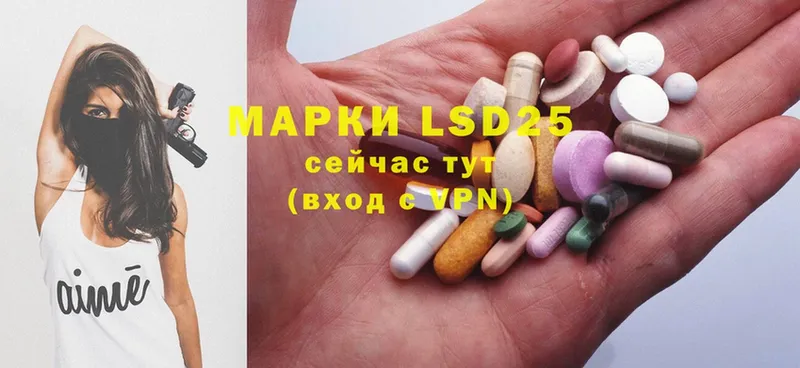 сколько стоит  mega зеркало  LSD-25 экстази ecstasy  Новотроицк 